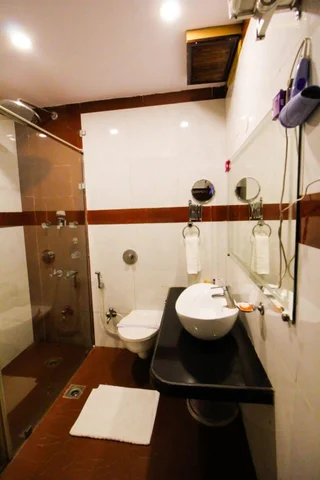 Бедагхат: Hotel Rishi Regency