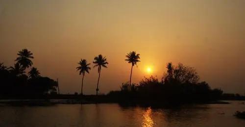 Кумараком: Backwater Breeze