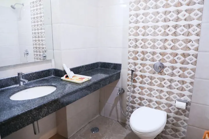 Варанаси: Hotel Dolphin International