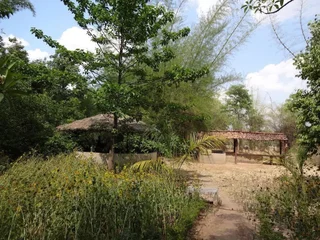 Панпата: WelcomHeritage Bandhavgarh Jungle Lodge