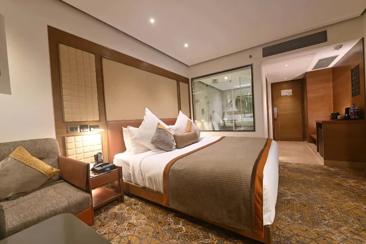 Индаур: Sayaji Indore
