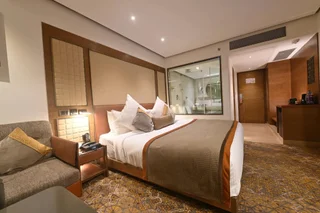 Индаур: Sayaji Indore