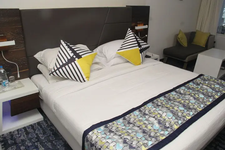 Индаур: Sayaji Indore