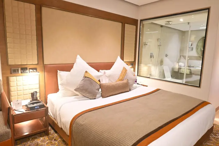 Индаур: Sayaji Indore