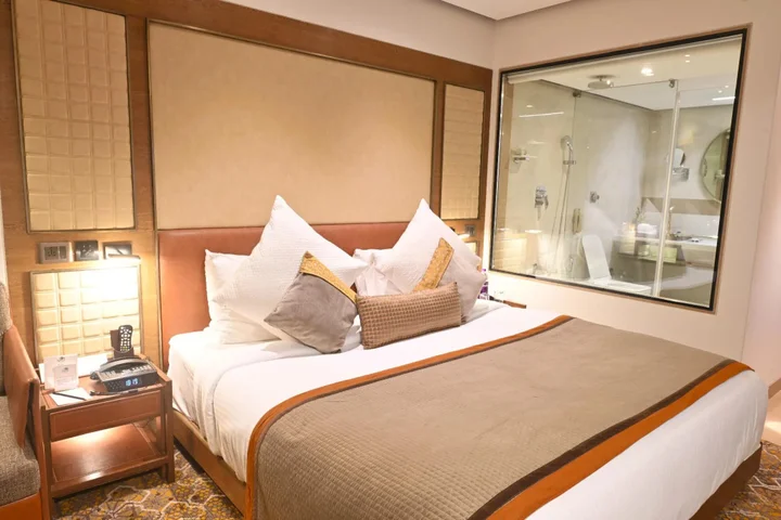 Индаур: Sayaji Indore