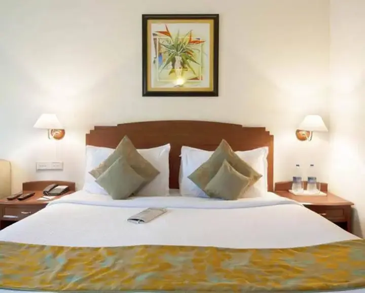 Нью-Дели: Tivoli Garden Resort Hotel