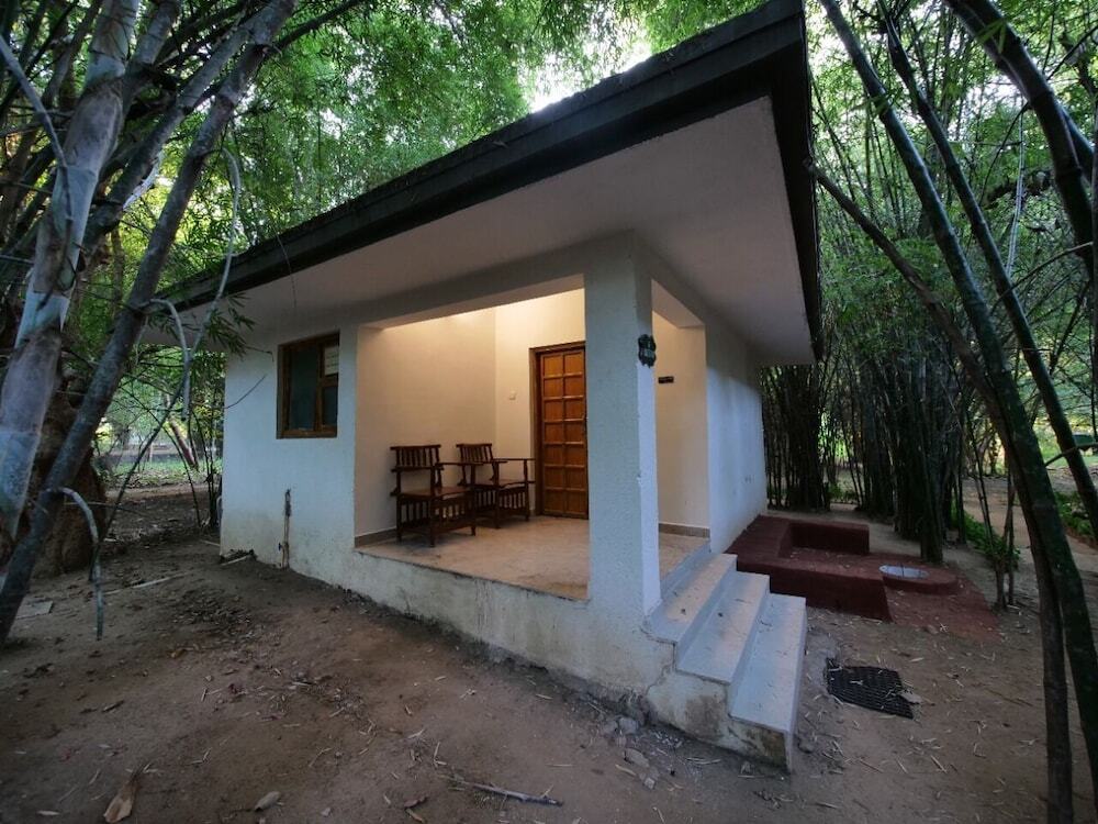 Панпата: Bandhavgarh Meadows