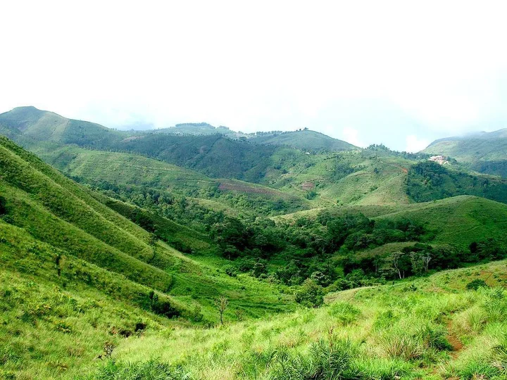 Куттикканам: Green Meadows Vagamon