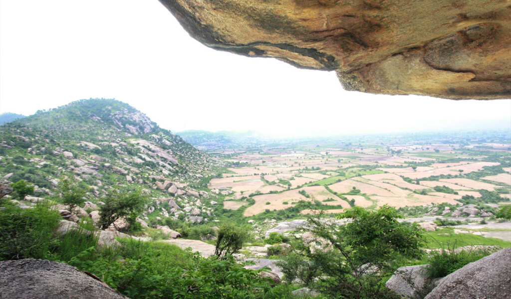 Алвар: Отель Dadhikar Fort
