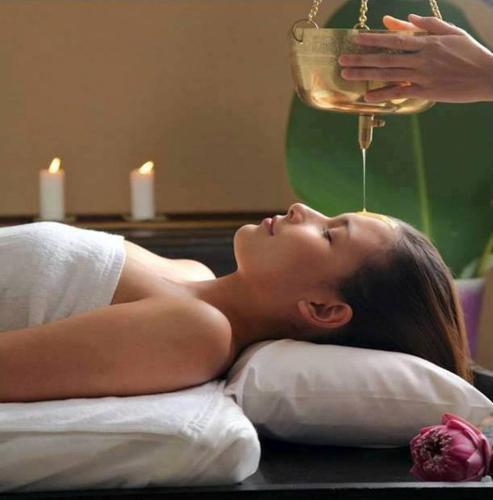 Ковалам: Bio Veda Ayurvedic Hill resort