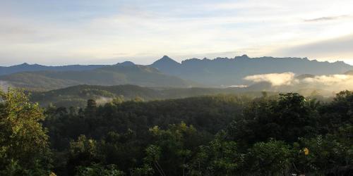 Ковалам: Bio Veda Ayurvedic Hill resort