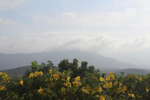Ковалам: Bio Veda Ayurvedic Hill resort