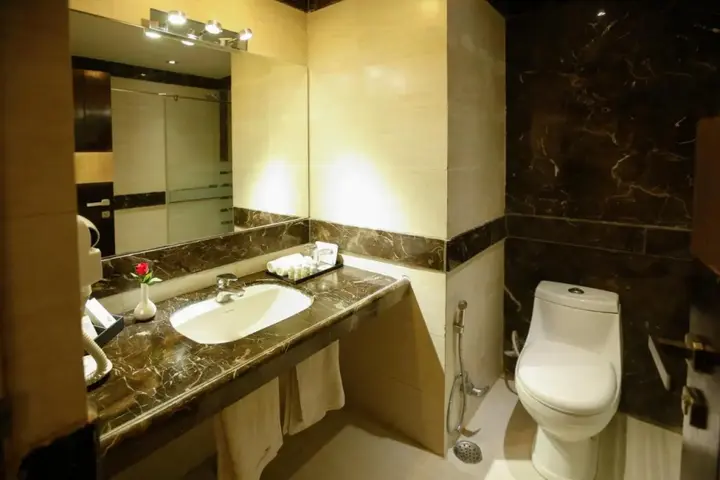 Аджмер: Paradizzo Resort