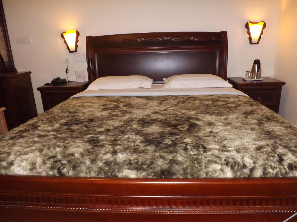 Кодайканал: KodaiSunshineHotel