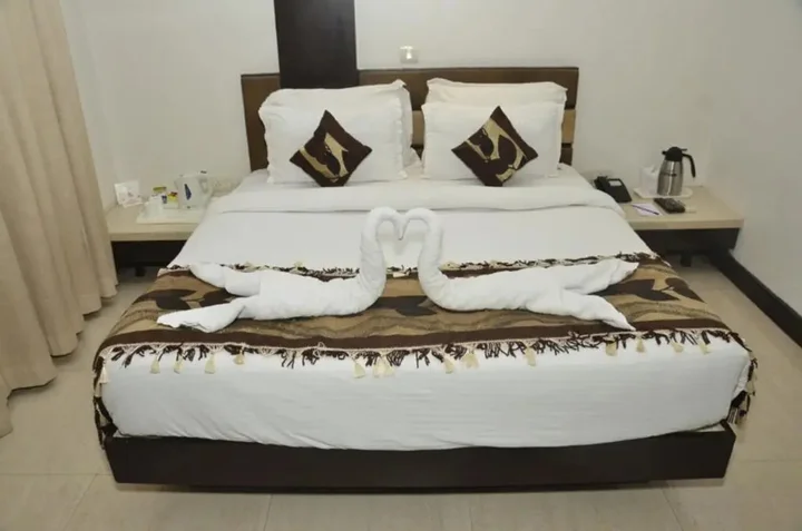 Райпур: Hotel Royale Ambience