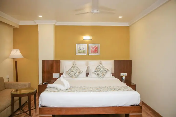 Райпур: Hotel Shamrock