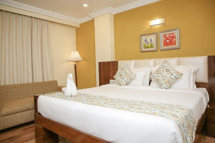Райпур: Hotel Shamrock