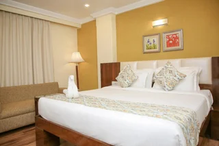 Райпур: Hotel Shamrock