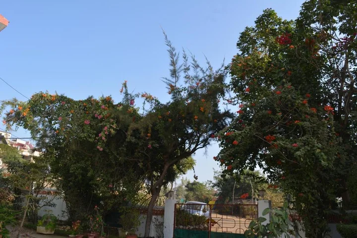 Бхопал: Jheelam Homestay