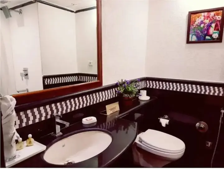 Райпур: Hotel Punjab Palace