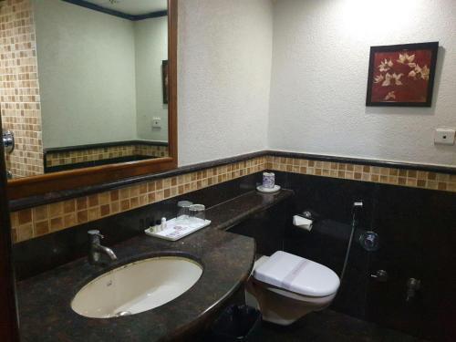 Райпур: Hotel Punjab Palace