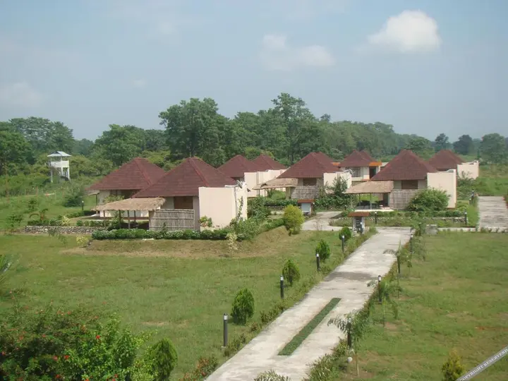 Джиоти Гаон: Musa Jungle Retreat