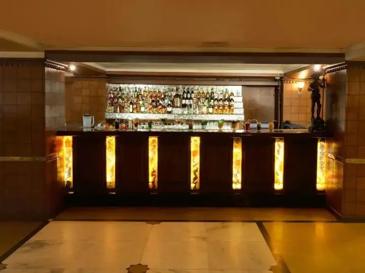 Райпур: Hotel Babylon International