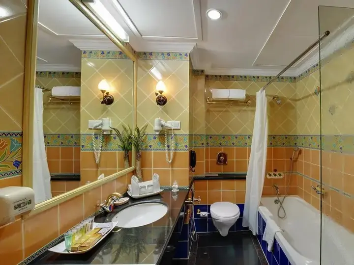 Райпур: Hotel Babylon International