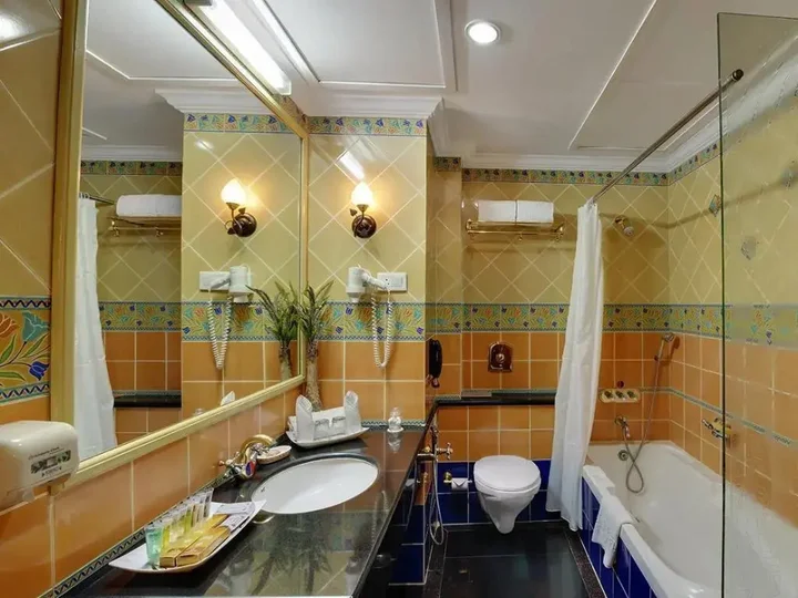 Райпур: Hotel Babylon International
