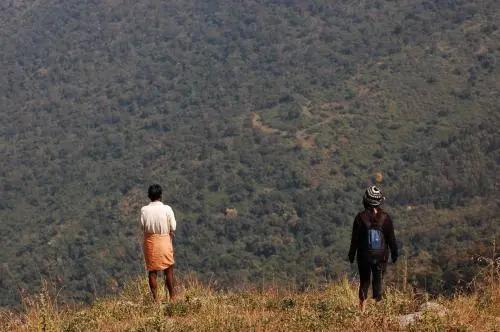 Ути: Wild Walkers by Vista Rooms