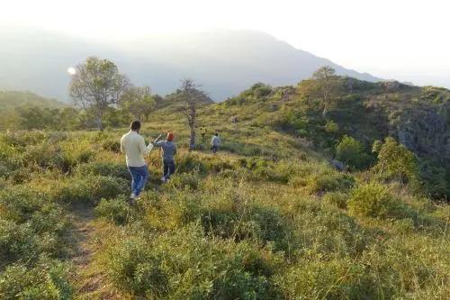 Ути: Wild Walkers by Vista Rooms