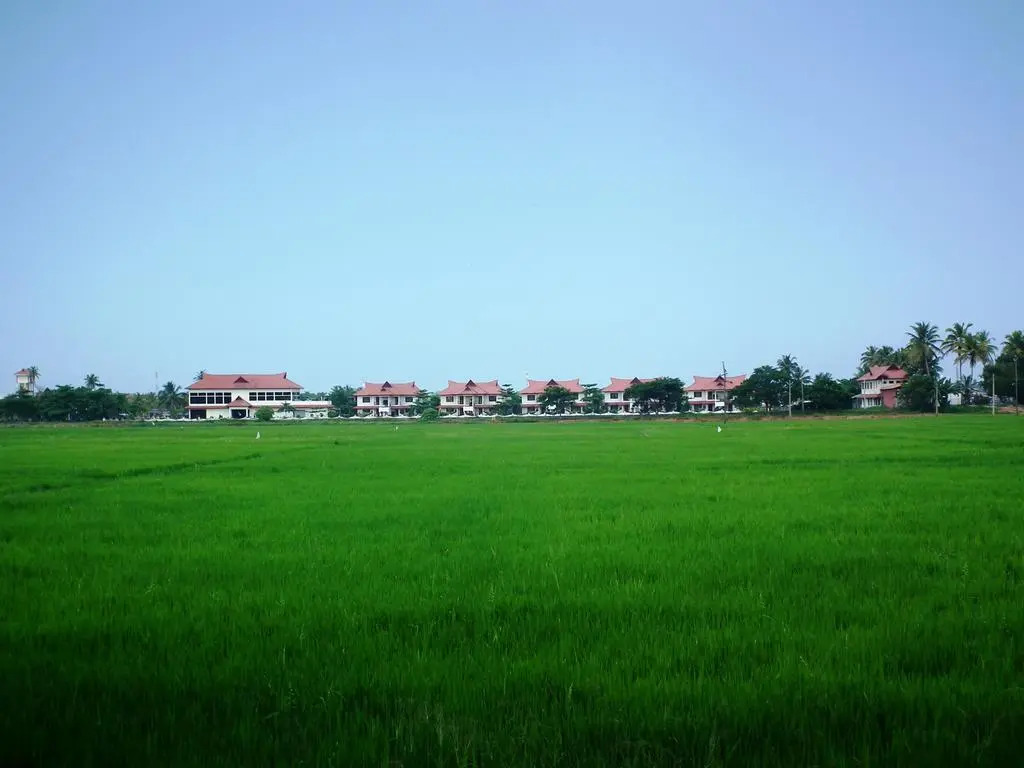 Аллеппи: Erathra Homestay