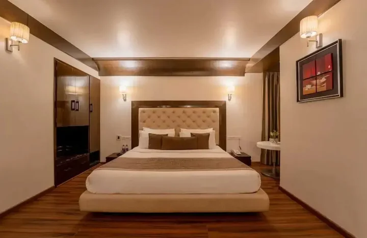 Джайпур: Hotel Aditya Park Regent