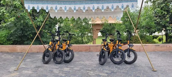 Удаипур: Radisson Blu Udaipur Palace Resort & Spa