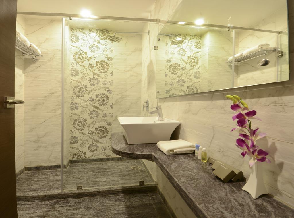 Агра: Hotel Alleviate