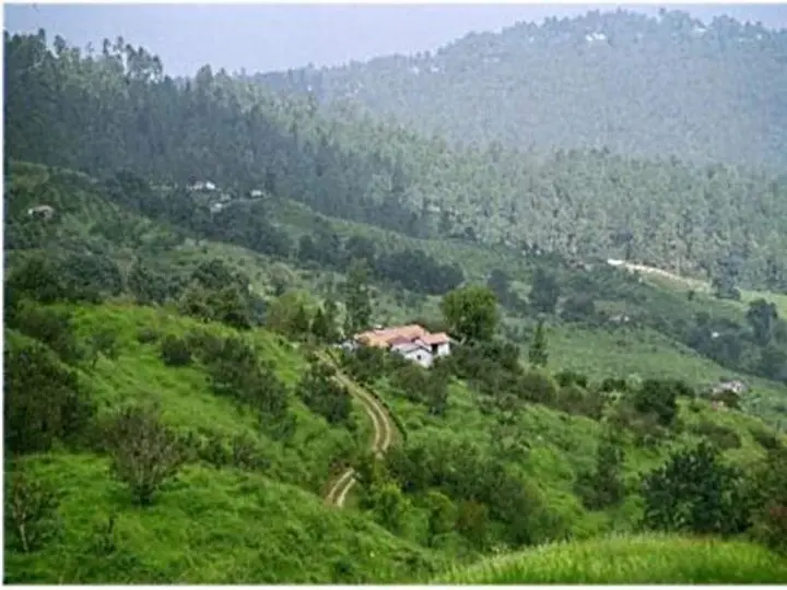 Раникхет: Ranikhet Grand