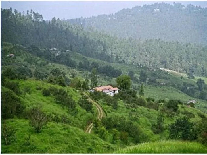 Раникхет: Ranikhet Grand