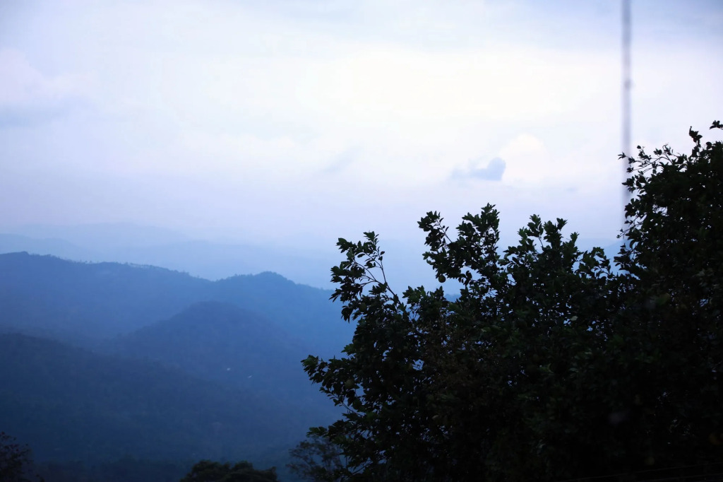 Муннар: Vista Rooms at Pallivasal