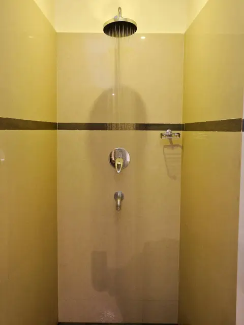 Майсур: Hotel Golden Castle