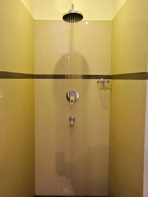 Майсур: Hotel Golden Castle