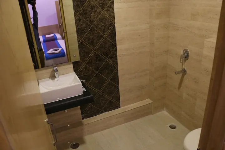 Нью-Дели: Hotel Prince Palace The Green