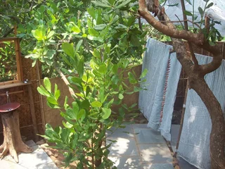Южный Гоа: Khaama Kethna Wellbeing Retreat Centre