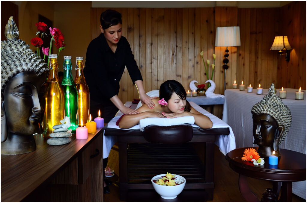 Манали: Chandertal Regency Hotel & Spa, Manali