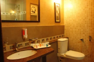 Гора Абу: Hotel Mount Regency
