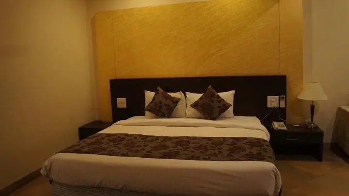 Дург: Hotel Ashish International