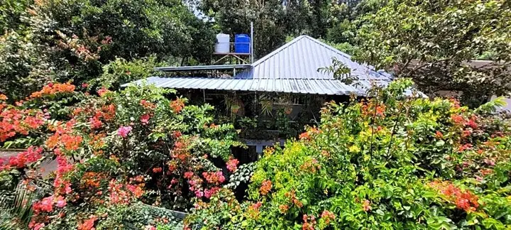 Periyar Inn — фото 6