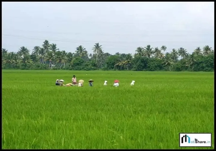 Аллеппи: Sandradeepam Holiday Resorts