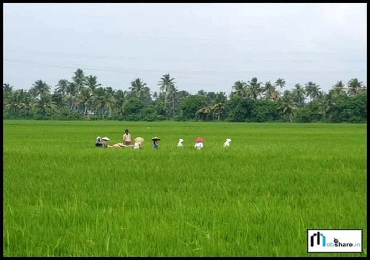 Аллеппи: Sandradeepam Holiday Resorts