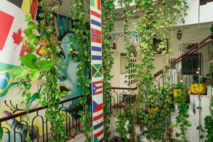 Удаипур: Dreamyard Udaipur