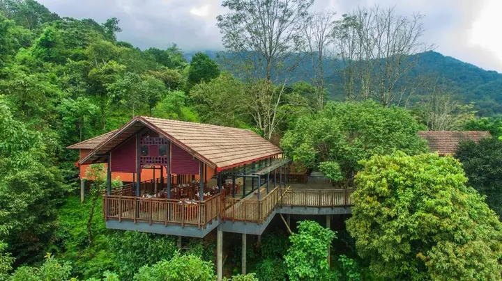 Султан-Батери: Vythiri Mist Resort